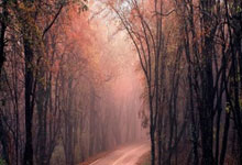 -泪洒绿茵场：C罗欧冠梦碎后独白，英雄背影下的时代告别曲