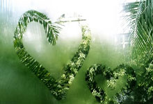 leyu乐鱼体育-亚洲杯惊天冷门引爆全球！国米折戟背后的足球暗流